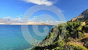 Vegetation on arid Pag island in forefront, landscape of central Pag bay near Saint Maria beach in background