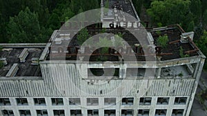 vegetation began to germinate in the ruined city of Pripyat