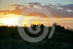 Vegetation of the Brazilian northeast semi-arid illuminated with the warm colors of the sunset photo