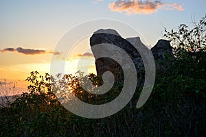 Vegetation of the Brazilian northeast semi-arid illuminated with the warm colors of the sunset photo