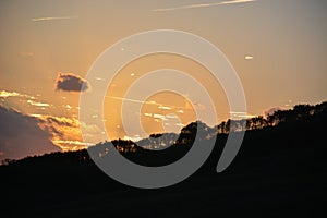 Vegetation of the Brazilian northeast semi-arid illuminated with the warm colors of the sunset photo