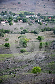 Vegetation of the Brazilian northeast semi-arid illuminated with the warm colors of the sunset photo