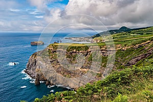 Vegetation in cliff at Ponta do Escalvado viewpoint with islets of the Mosteiros and Atlantic Ocean, SÃ£o Miguel - Azores PORTUGAL