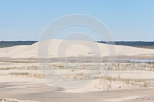 Vegetation on the dunes at Lagoa do Peixe National Park photo