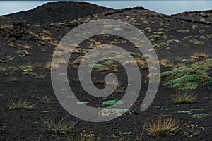 vegetation of Etna (also called Mongibello) is a complex stratovolcano of Sicily which originated in the Quaternary photo