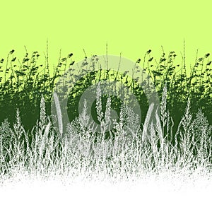 Vegetation illustration