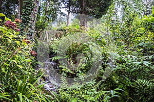 Vegetation in Jardin des Plantes garden public park in Toulouse