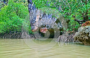 Vegetation of Ko Thalu Ok Island, Phang Nga Bay, Thailand