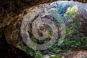 Vegetation and nature in Phraya Nakhon Cave