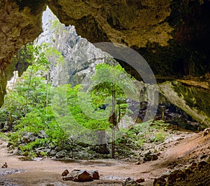 Vegetation and nature in Phraya Nakhon Cave. Thailand