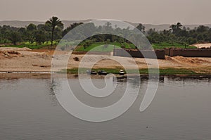 Vegetation by the Nile