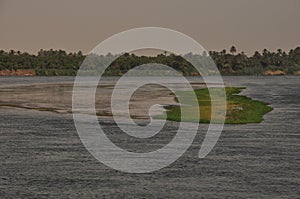 Vegetation by the Nile