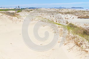 Vegetation over dunes at Itapeva Park in Torres beach