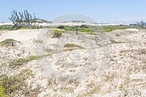 Vegetation over dunes at Itapeva Park in Torres beach