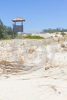 Vegetation over dunes at Itapeva Park in Torres beach