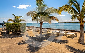 Vegetation and Palapas in the Beautiful caribbean island of Belize