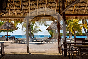 Vegetation and Palapas in the Beautiful caribbean island of Belize