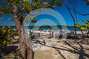 Vegetation and Palapas in the Beautiful caribbean island of Belize