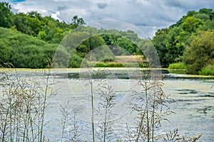 Vegetation and Pond near the Admissions Hut into Lyme Park, Dis