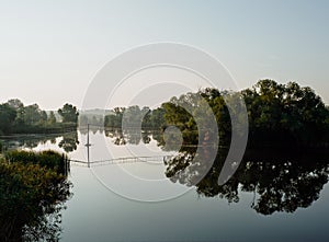 Vegetation is reflected in calm water