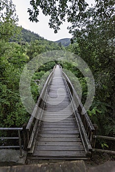 The Vegetation Walkway