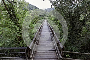 The Vegetation Walkway