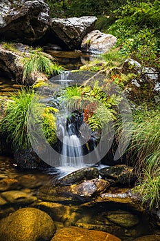 Vegetation and waterfall of river stream in Agualva