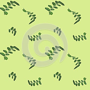 vegetative pattern of green branches