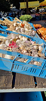 Vegetbles on display on outdoor market