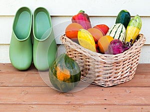 Veggie basket with garden clogs