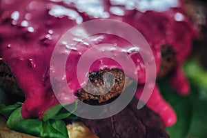 Veggie Burger with beet sauce