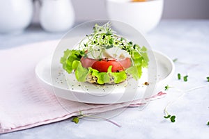 Veggie burger with tomato, lettuce and micro grins on a white plate with  cereal bun on a white background