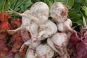 Veggies at the Market