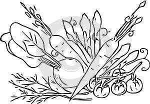 Veggies and vegetables black and white artwork