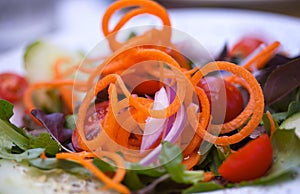 Vegi Salad