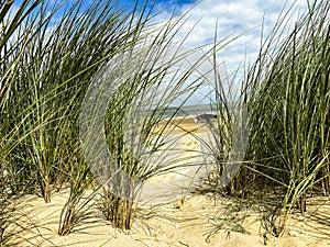 The beach of Cadzand, The Netherlands