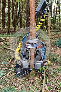 Vehicle with chain saw cutting down tree