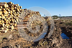 Vehicle Damage to a depots for timber at the deforestation