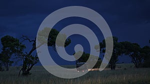 Vehicle driving away at twilight on Night Safari, headlights glowing, African 146 in Maasai Mara