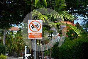 Vehicle entry is prohibited. forbidding road sign on the background of a palm tree and green plants.