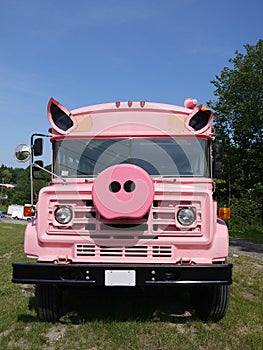 Vehicle: modified pink school bus