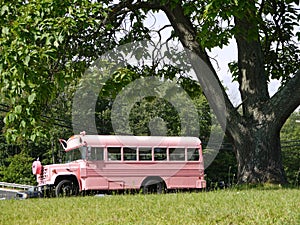 Vehicle: modified pink school bus side