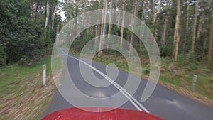 Vehicle POV driving along narrow road in eucalyptus forest in foggy weather