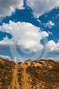 Vehicle tracks on hillside