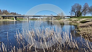 Vehicles drive across the bridge. Bridge over Venta river and old, broken, brown reed trunks. Skrunda, Latvia