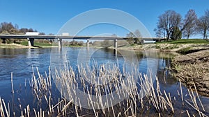 Vehicles drive across the bridge. Bridge over Venta river and old, broken, brown reed trunks. Skrunda, Latvia