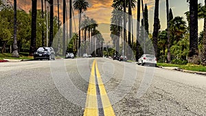 Vehicles driving on the roadway of the famous Palm Walk in Beverly Hills in the city of Los Angeles, in the state of California.