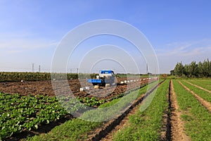 Vehicles in farmland in autumn, China
