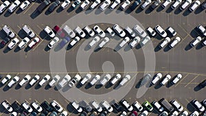 Vehicles Parked in a Lot Awaiting Customer Delivery