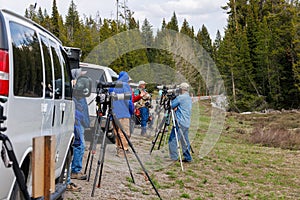 Vehicles and photographers near Pilgrim Creek